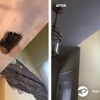 PatchMaster Greater Philly Suburbs gallery