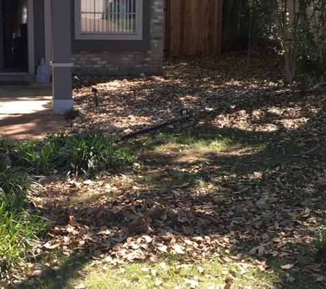 Robin Lawn Care - Dallas, TX. Their contractor Odell Lawn Services left the yard like this AND BROKE MY FRENCH WINDOWS. Still waiting for Robin to fix.