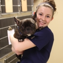 Flanary  Veterinary Clinic KENTUCKY - Pet Services