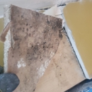 O2 Mold Testing of Baltimore - Mold Remediation