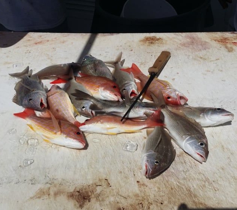 Captain Tony's Fishing Adventures - Fort Myers Beach, FL