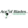 Ace of Blades gallery