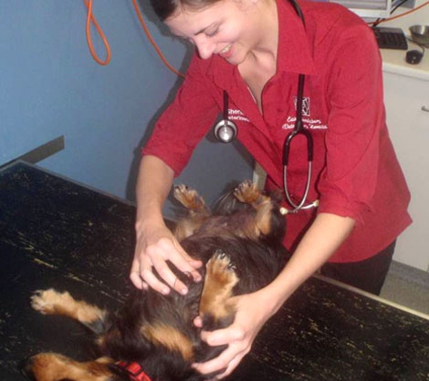 East Bundaberg Veterinary Hospital - Bundaberg East, QLD