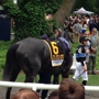 Belmont Park Race Track