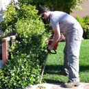 Sustainable Landscape And Gardening - Sod & Sodding Service
