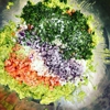 The Burrito Bowl gallery