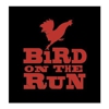 Bird On The Run gallery