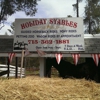 Holiday Stables gallery