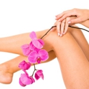 The Electrolysis Clinic - Health Resorts