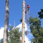 Gordon  Pro Tree Service