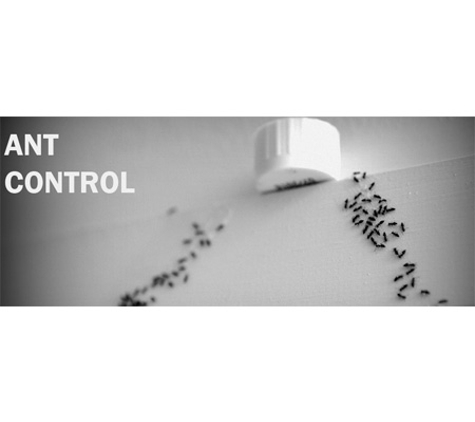 Affordable Pest Control - Nowra, NSW
