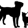 Cummings Veterinary Hospital gallery