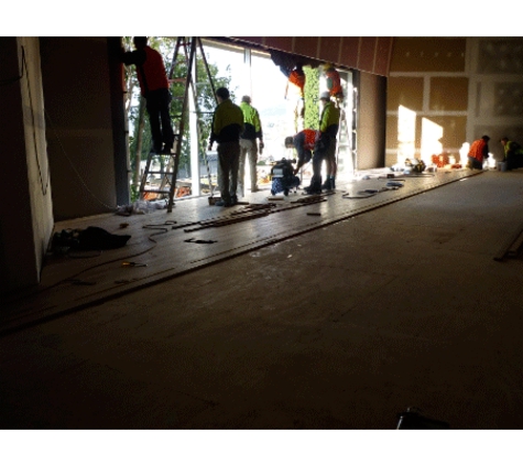 Absolutely Flawless - Petrie, QLD. New Timber Flooring