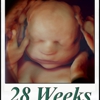 Fetal Vision on the Boulevard gallery