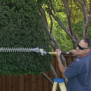 Denson Tree Service - Lawn Maintenance