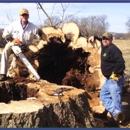 Marshall County Tree & Lawn - Tree Service