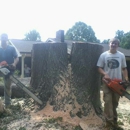 d and d tree trimming and landscaping - Landscape Designers & Consultants