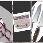 Absolute Razor Sharp - Sharpening Services