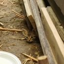 Mississippi Pest Control - Pest Control Equipment & Supplies