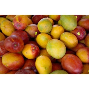 Williams Premium Wholesale