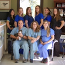 Animal Hospital Of Mobile - Pet Services