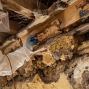 Ecotect Pest Elimination Inc - Pest Control Equipment & Supplies
