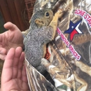Lone Star Animal Removal Service - Animal Removal Services