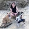 Interlude Pet Resort & Spa gallery