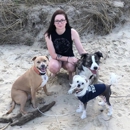 Interlude Pet Resort & Spa - Pet Boarding & Kennels