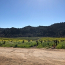 Mounts Family Winery - Wineries