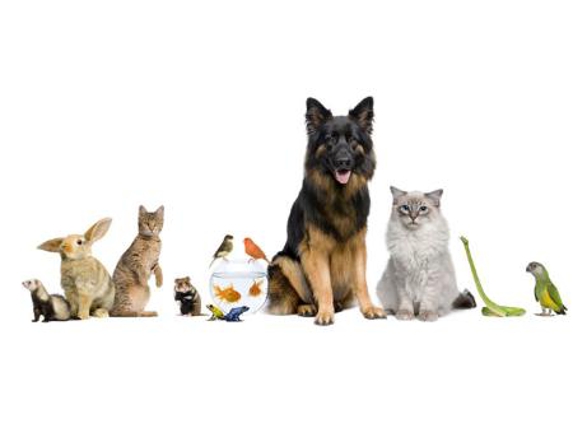 Mullumbimby Veterinary Clinic - Mullumbimby, NSW