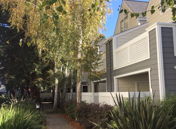 Alderwood Apartments - Santa Clara, CA