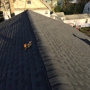 Pro level line roofing