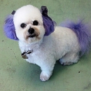 Delightful Doggie Doo's and Kittie Klips Too LLC - Pet Grooming