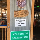 Dolphin Spit Saloon - Taverns