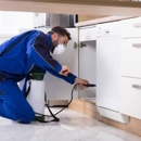 Dame Pest Solutions Inc, Naples - Pest Control Services