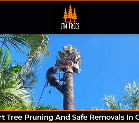 LTM Trees. Expert Tree Pruning And Safe Removals In Cairns