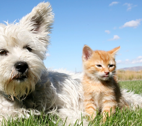 Traralgon Veterinary Centre - Traralgon, VIC. We know how much you love your pet.