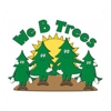 We B Trees gallery