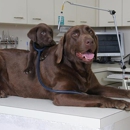 Spring Valley Veterinary Hospital - Veterinary Clinics & Hospitals