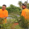 Halifax Landscaping & Lawn gallery