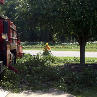 Thompson Tree Service