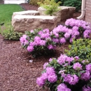 Alive Landscaping - Environmental & Ecological Consultants