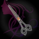 Norwalk Beauty & Barber Supply - Beauty Salon Equipment & Supplies