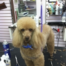 Fluff and Puff of Eastchester - Pet Grooming