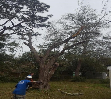 Shaw's Tree Service - Jacksonville, FL