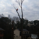 MYTREEMAN TREE SERVICE - Tree Service