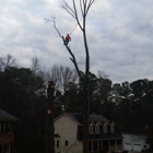 MYTREEMAN TREE SERVICE