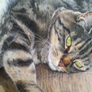 ACE Artwork - Pet Portraits - Fine Art Artists