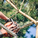 Raymond Brothers Tree Service - Tree Service
